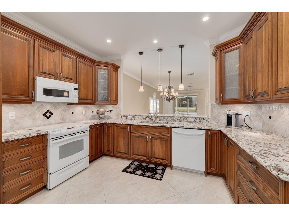 1036 Dartford Drive Tarpon Springs FL 34688 TB8455478 image16