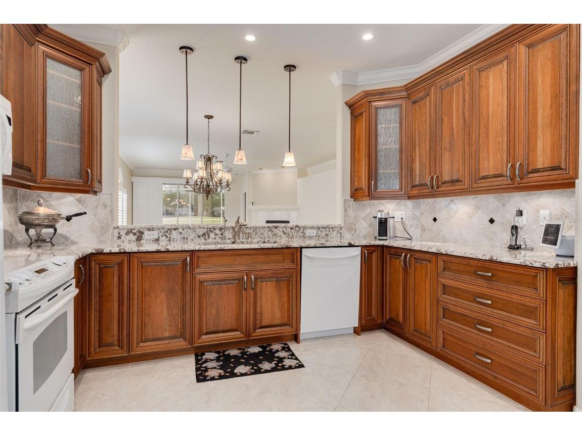 1036 Dartford Drive Tarpon Springs FL 34688 TB8455478 image17