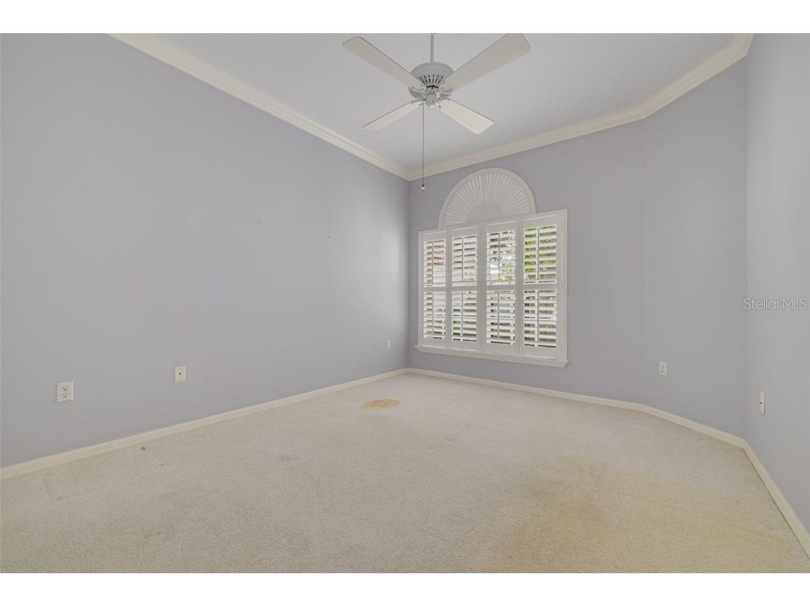 1036 Dartford Drive Tarpon Springs FL 34688 TB8455478 image22