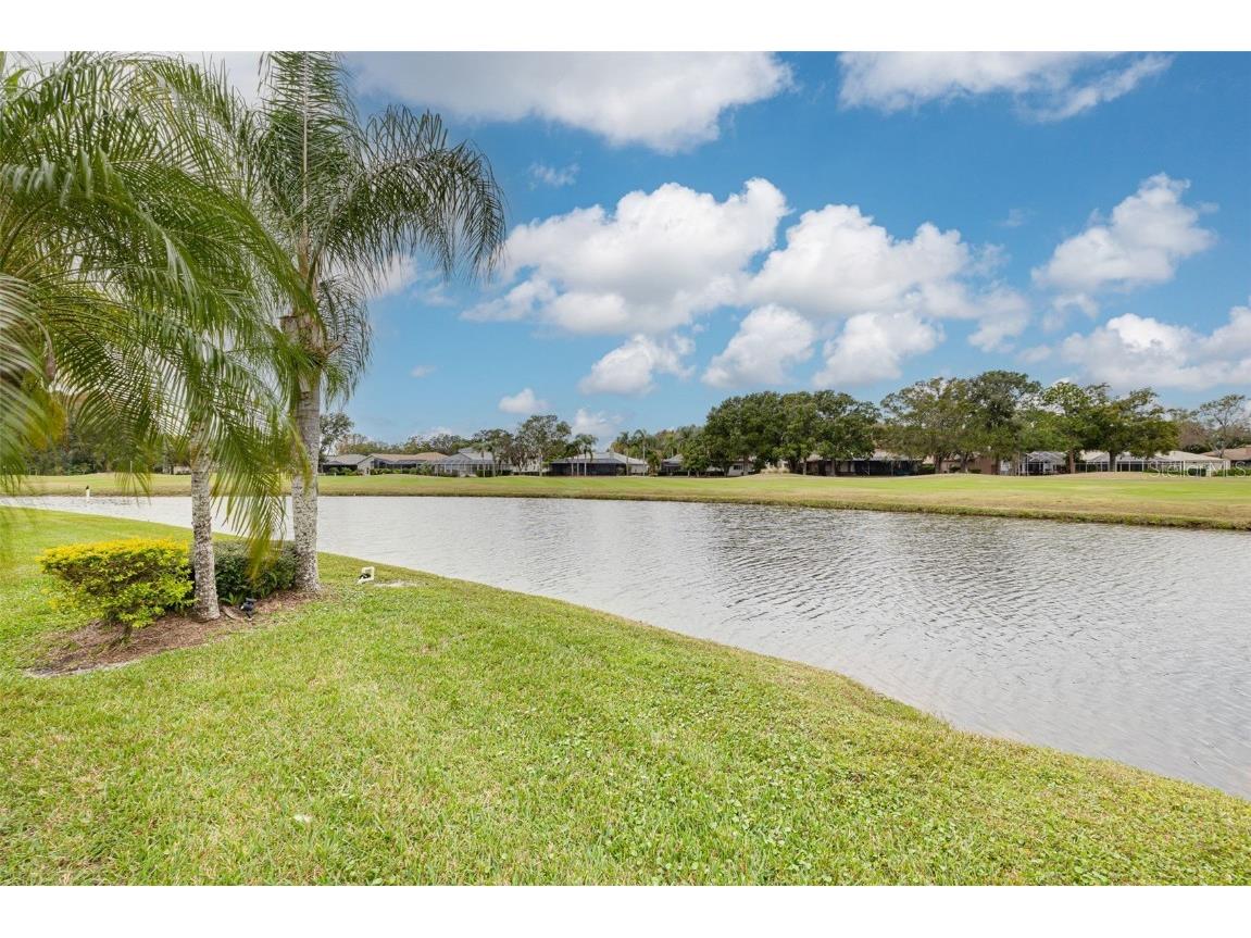 1036 Dartford Drive Tarpon Springs FL 34688 TB8455478 image34