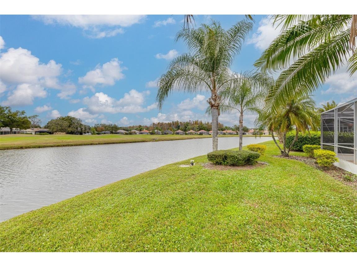 1036 Dartford Drive Tarpon Springs FL 34688 TB8455478 image35