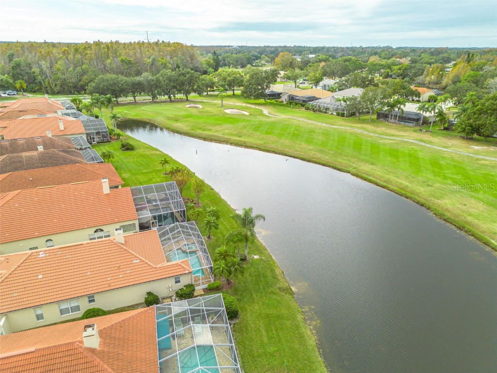 1036 Dartford Drive Tarpon Springs FL 34688 TB8455478 image37