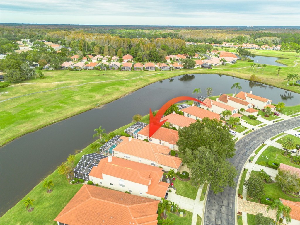 1036 Dartford Drive Tarpon Springs FL 34688 TB8455478 image40