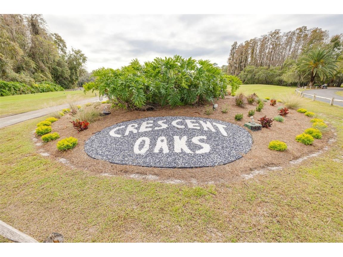 1036 Dartford Drive Tarpon Springs FL 34688 TB8455478 image41