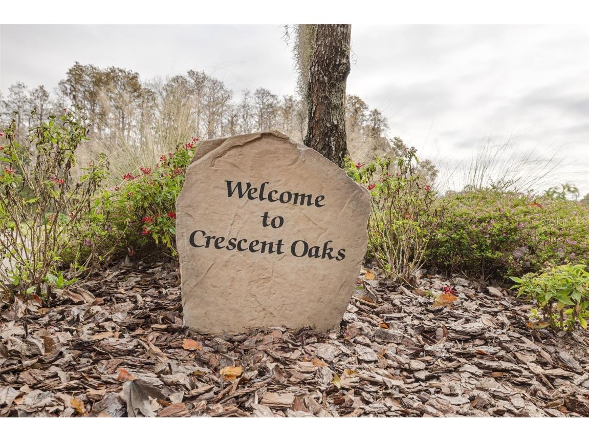 1036 Dartford Drive Tarpon Springs FL 34688 TB8455478 image42