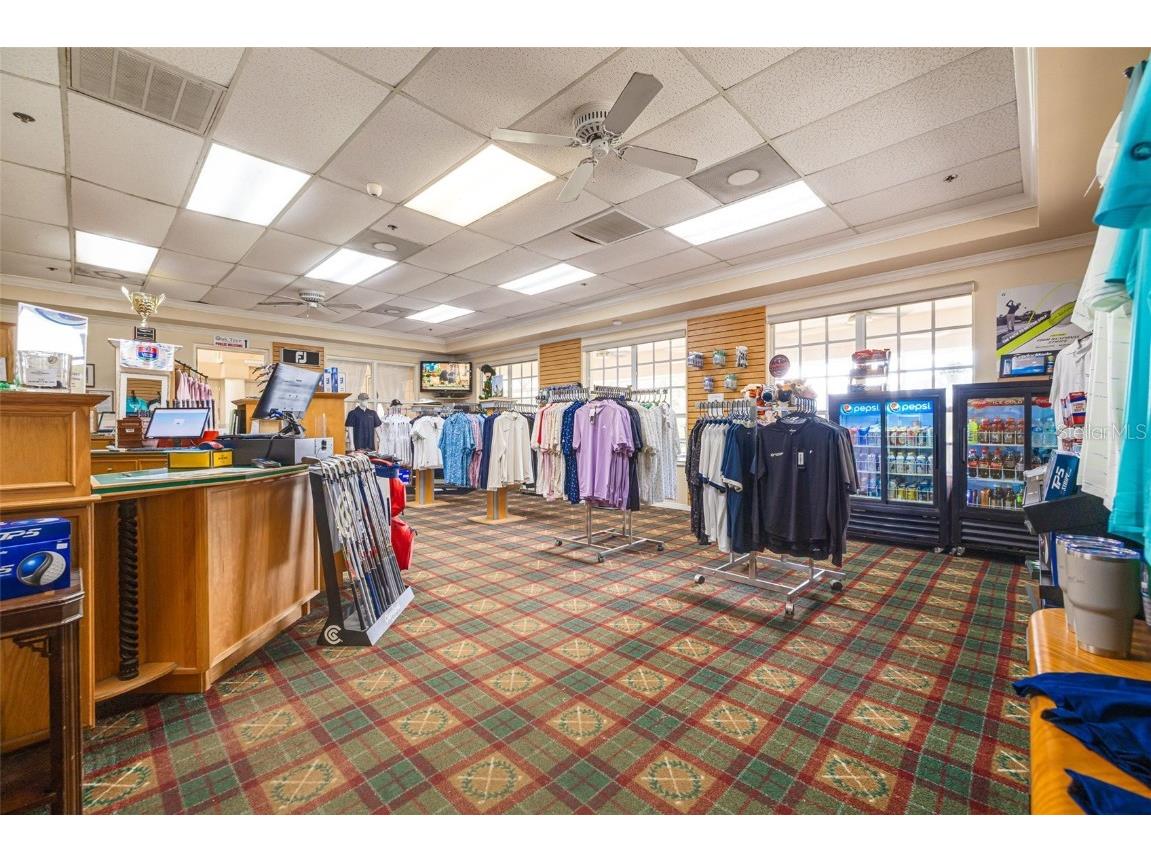 1036 Dartford Drive Tarpon Springs FL 34688 TB8455478 image49