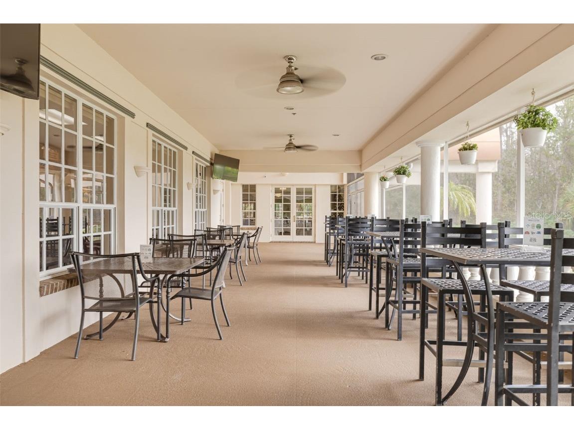 1036 Dartford Drive Tarpon Springs FL 34688 TB8455478 image51