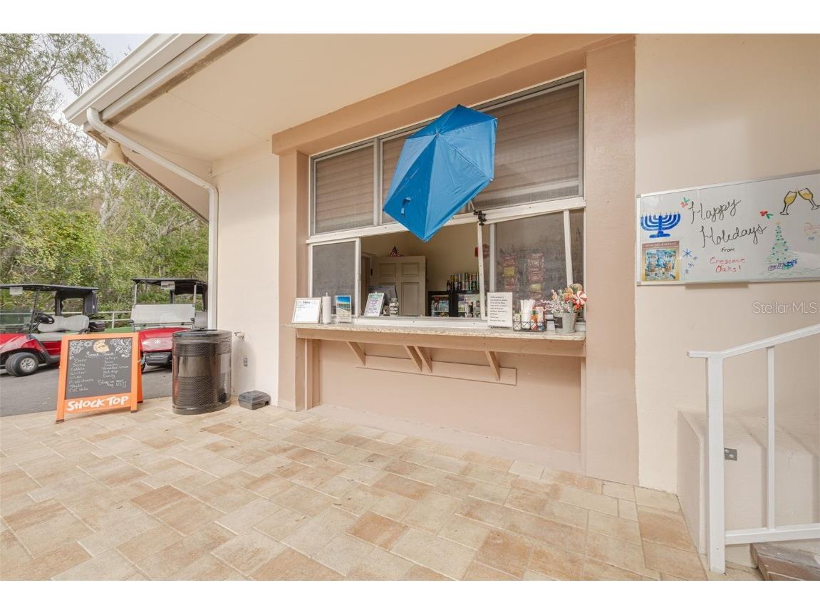 1036 Dartford Drive Tarpon Springs FL 34688 TB8455478 image55