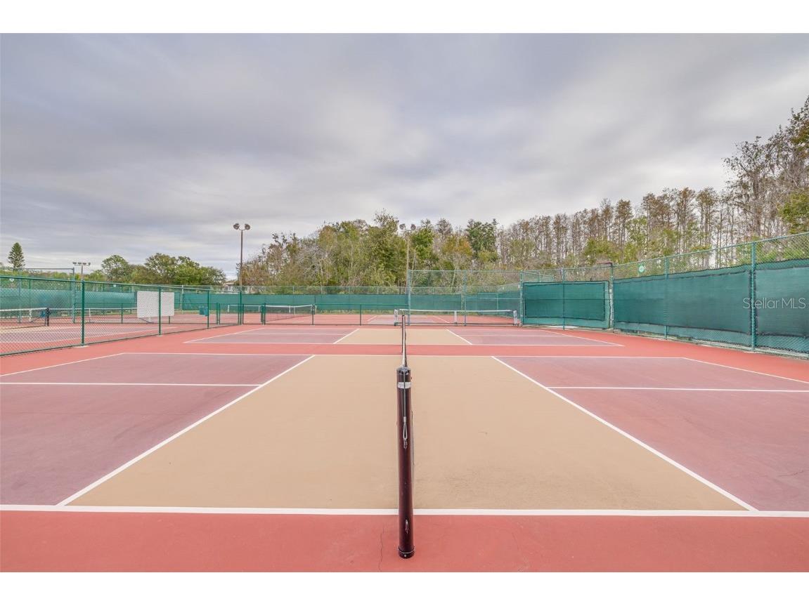 1036 Dartford Drive Tarpon Springs FL 34688 TB8455478 image56