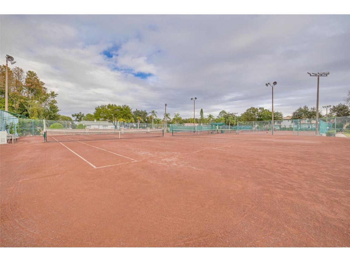 1036 Dartford Drive Tarpon Springs FL 34688 TB8455478 image57