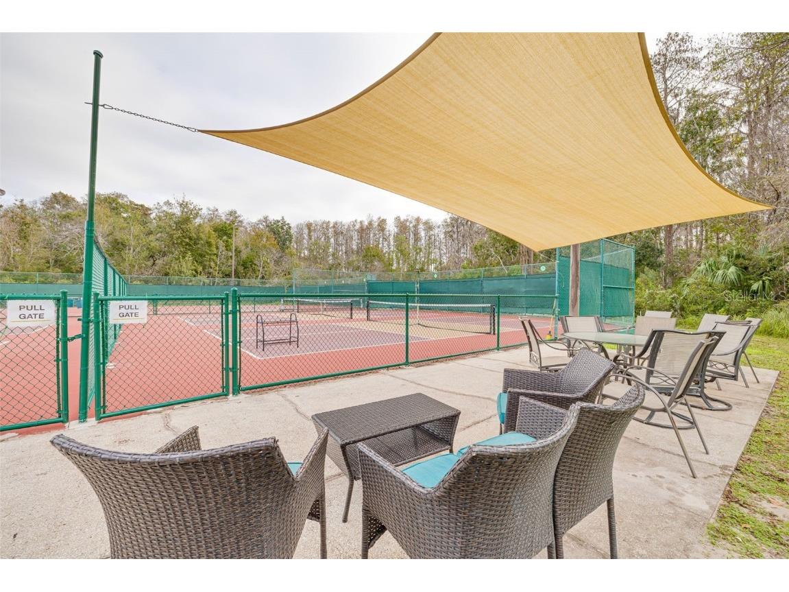 1036 Dartford Drive Tarpon Springs FL 34688 TB8455478 image58