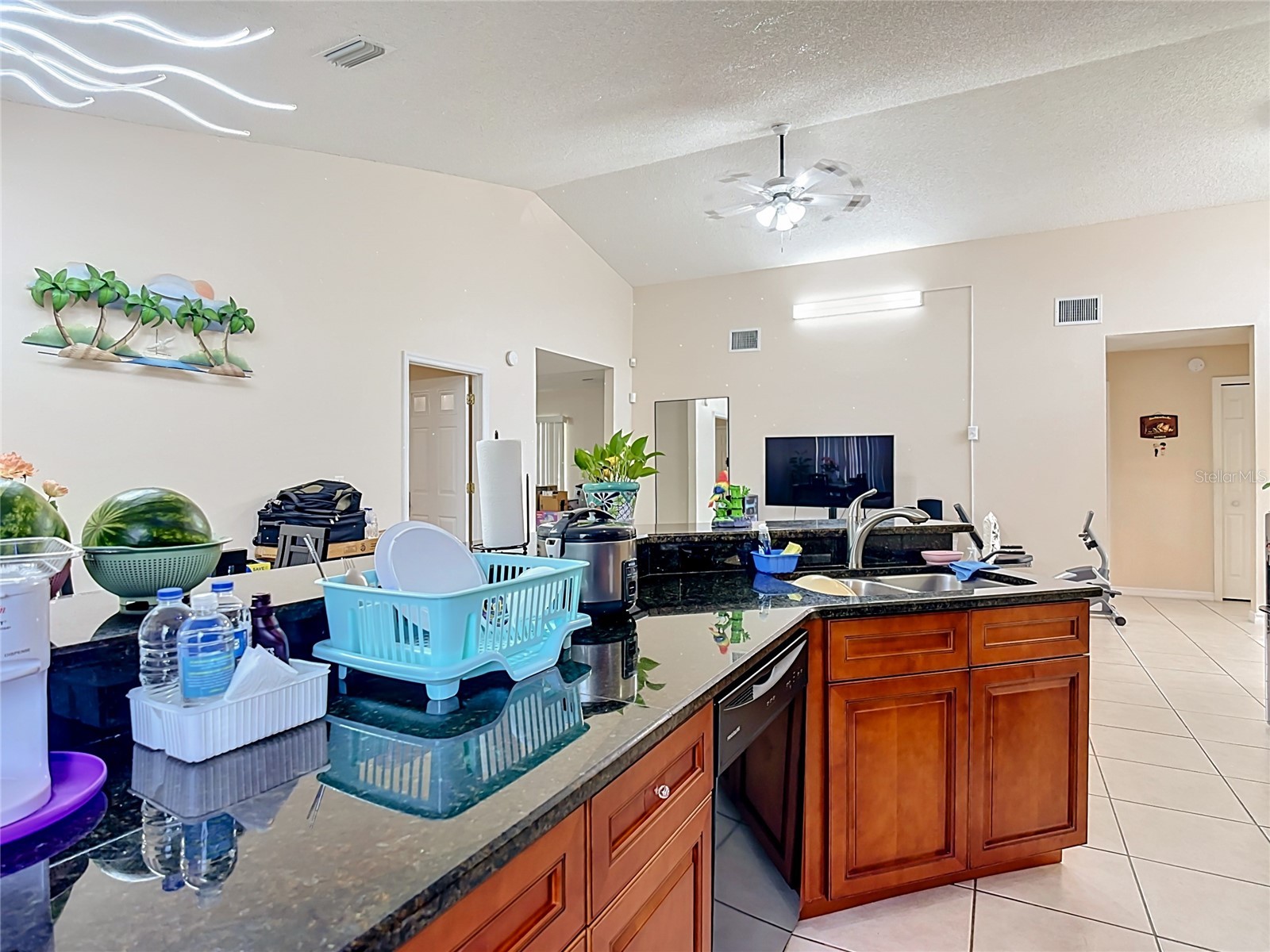 1036 Dudley Drive Kissimmee FL 34758 S5150046 image7