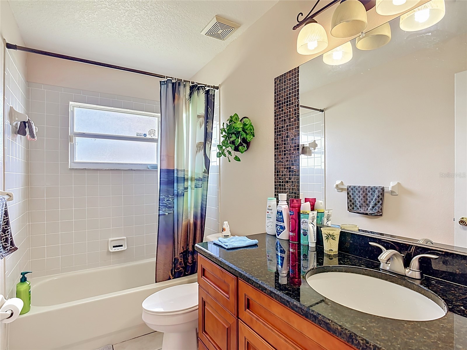 1036 Dudley Drive Kissimmee FL 34758 S5150046 image9