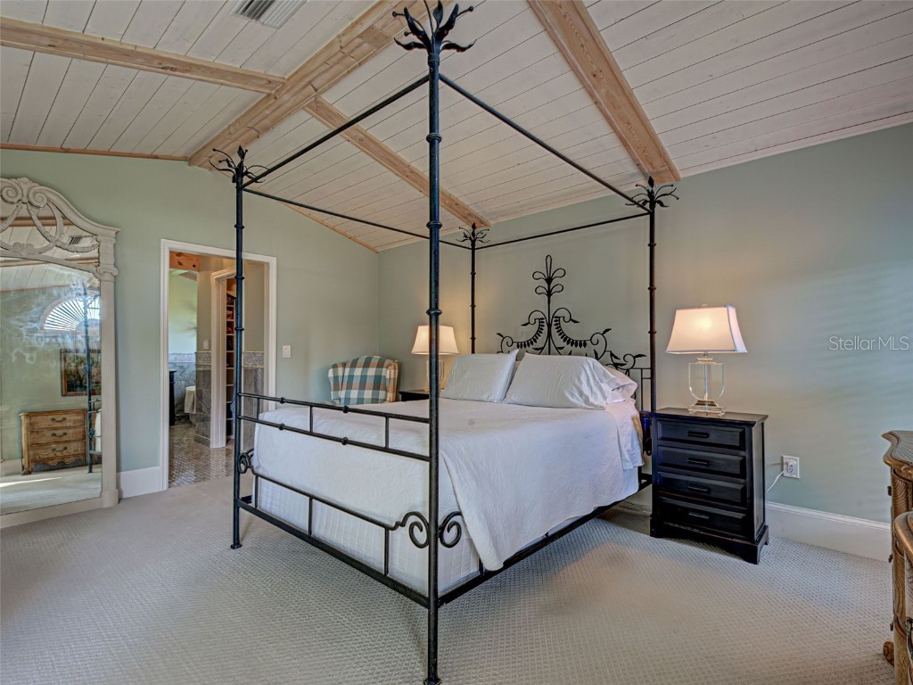 1036 Harbor Town Drive Venice FL 34292 N6139792 image49