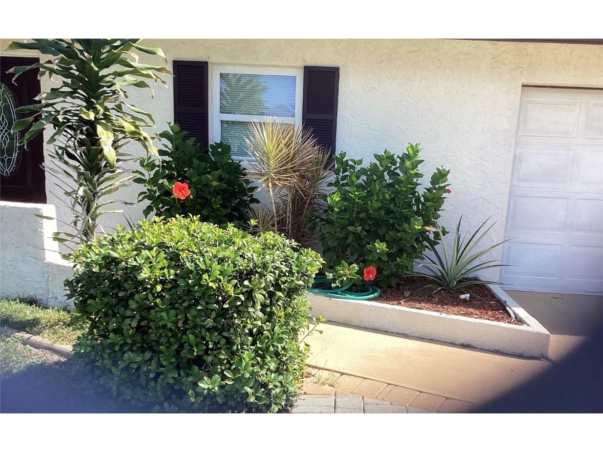 1036 Hope Street Venice FL 34285 A4668485 image3