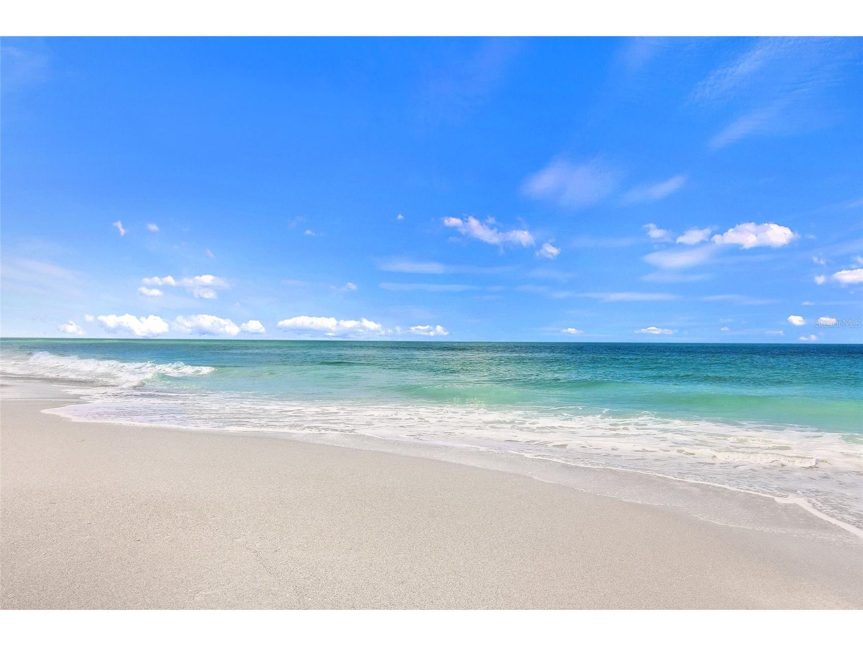 1036 Hope Street Venice FL 34285 A4689819 image39