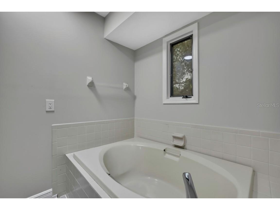 1036 Lake Avoca Drive Tarpon Springs FL 34689 A4659734 image36