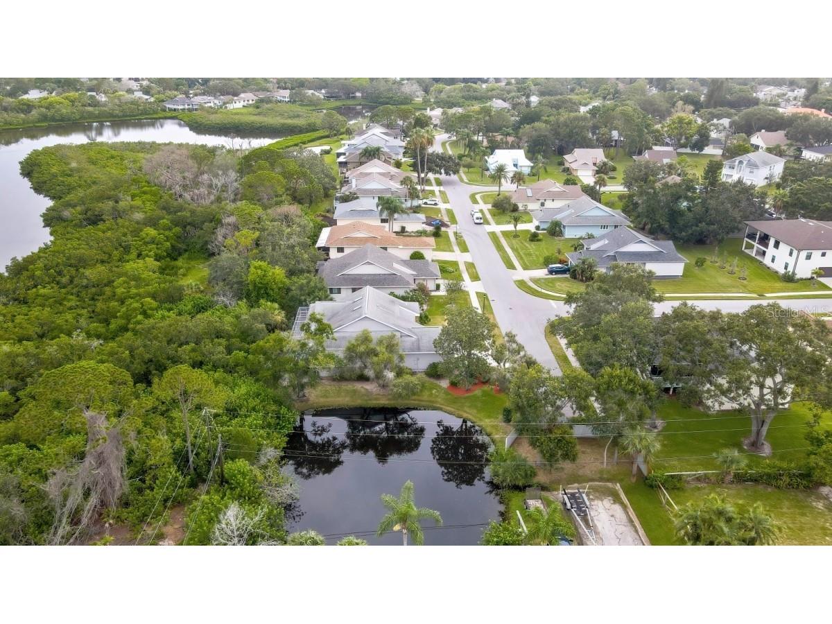 1036 Lake Avoca Drive Tarpon Springs FL 34689 A4659734 image44