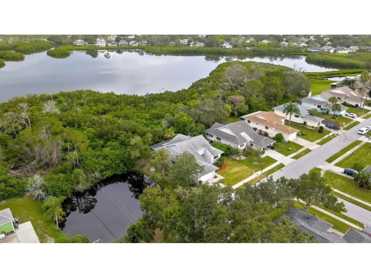 1036 Lake Avoca Drive Tarpon Springs FL 34689 A4659734 image45