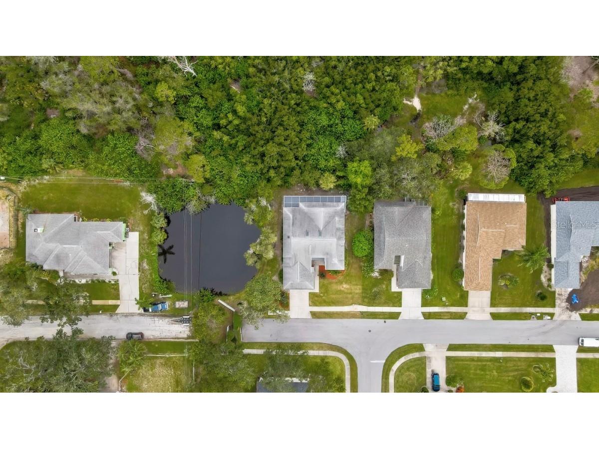 1036 Lake Avoca Drive Tarpon Springs FL 34689 A4659734 image46