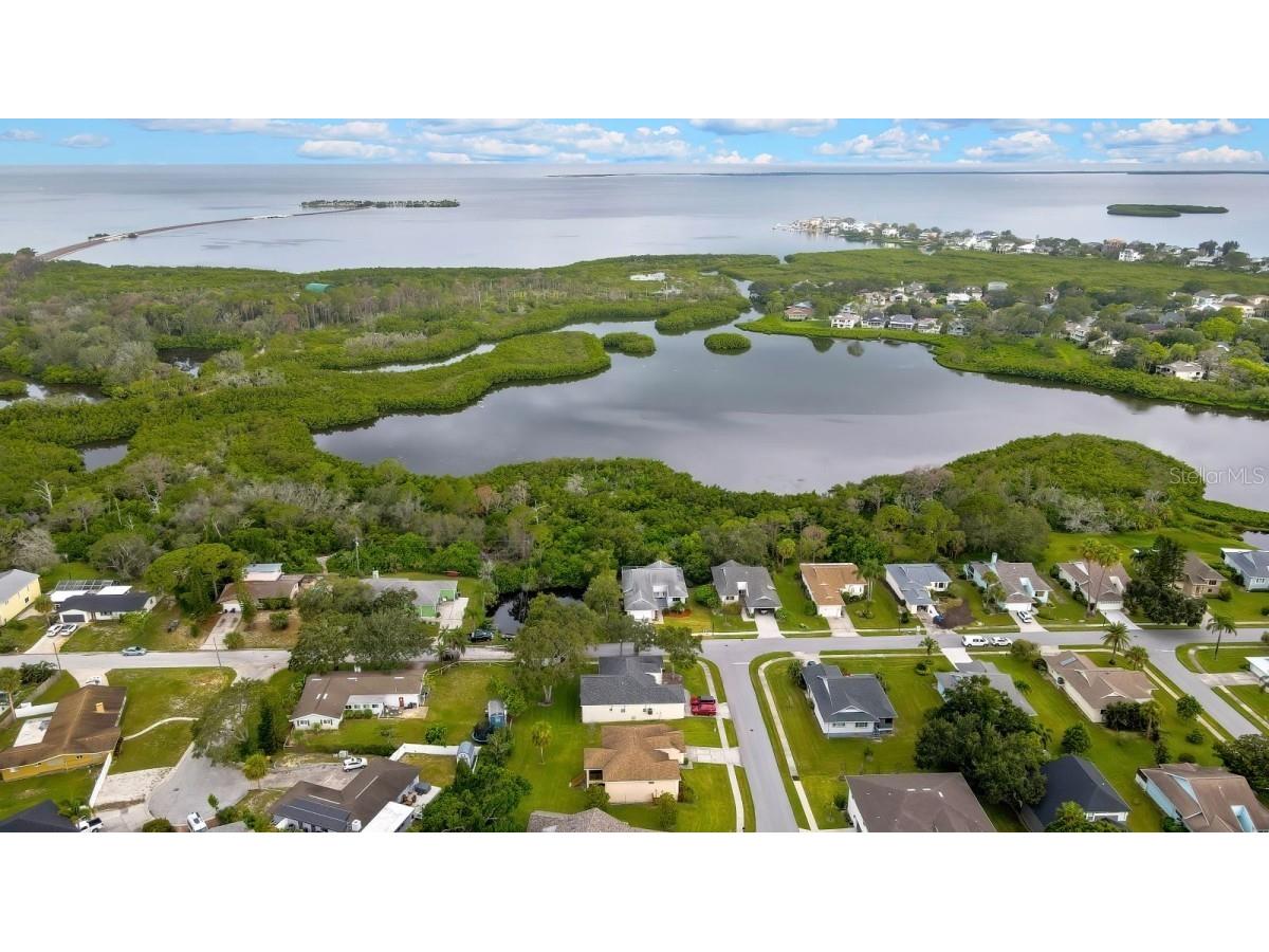 1036 Lake Avoca Drive Tarpon Springs FL 34689 A4659734 image47