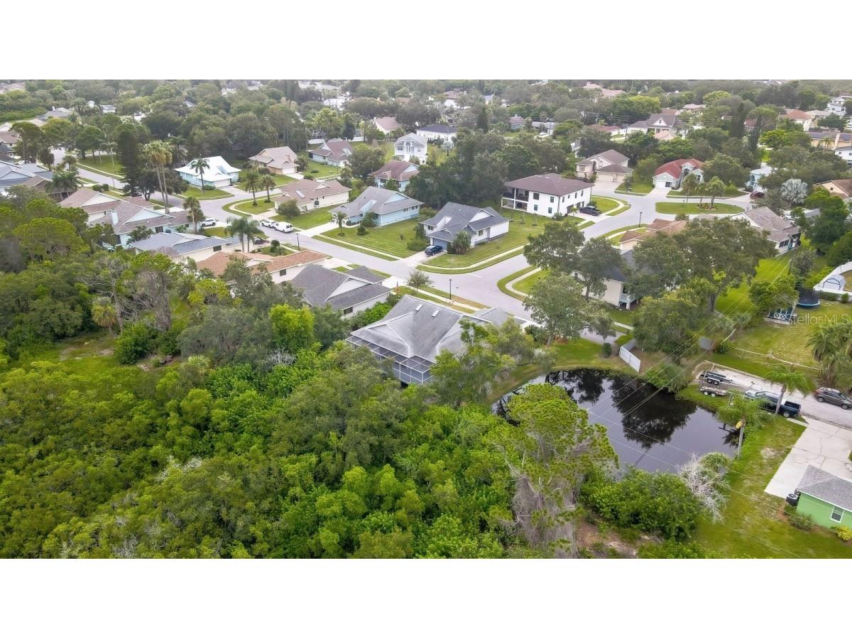 1036 Lake Avoca Drive Tarpon Springs FL 34689 A4659734 image6