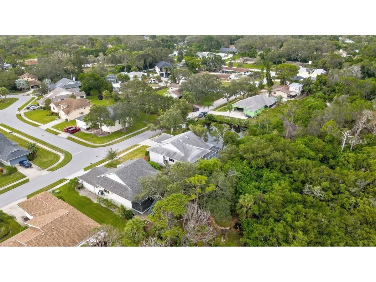 1036 Lake Avoca Drive Tarpon Springs FL 34689 A4659734 image7