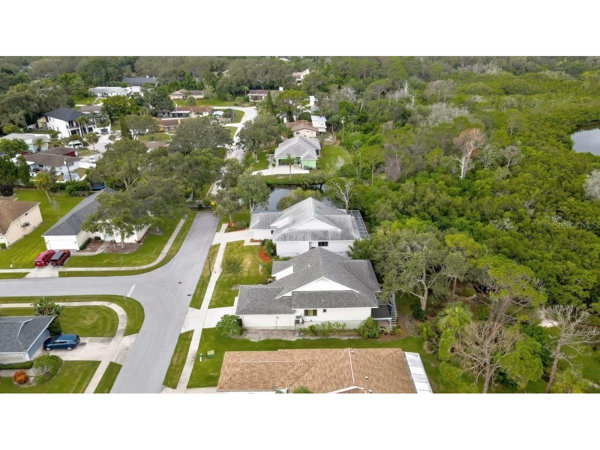 1036 Lake Avoca Drive Tarpon Springs FL 34689 A4659734 image8