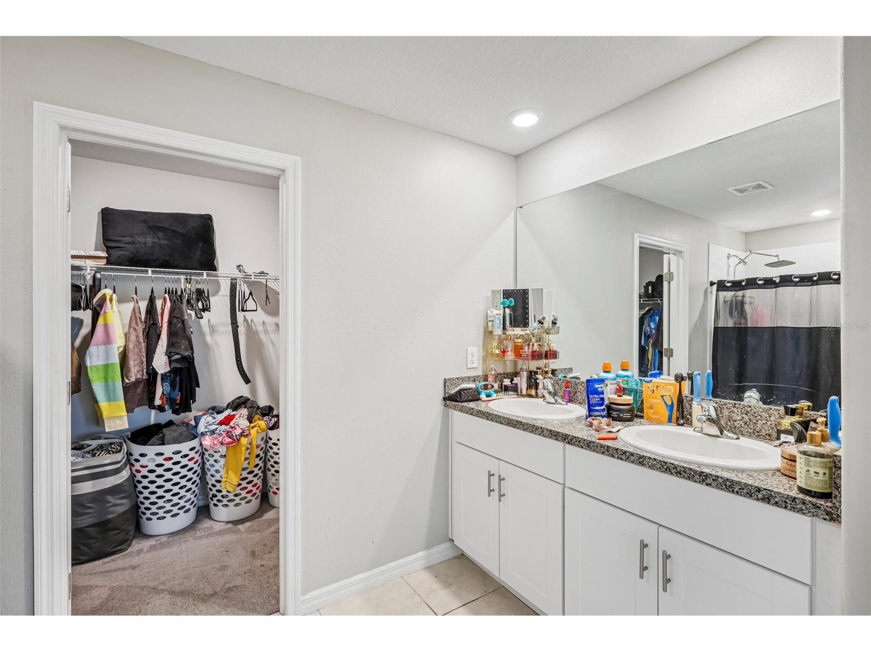 10360 Blue Plume Court Riverview FL 33578 TB8522566 image14