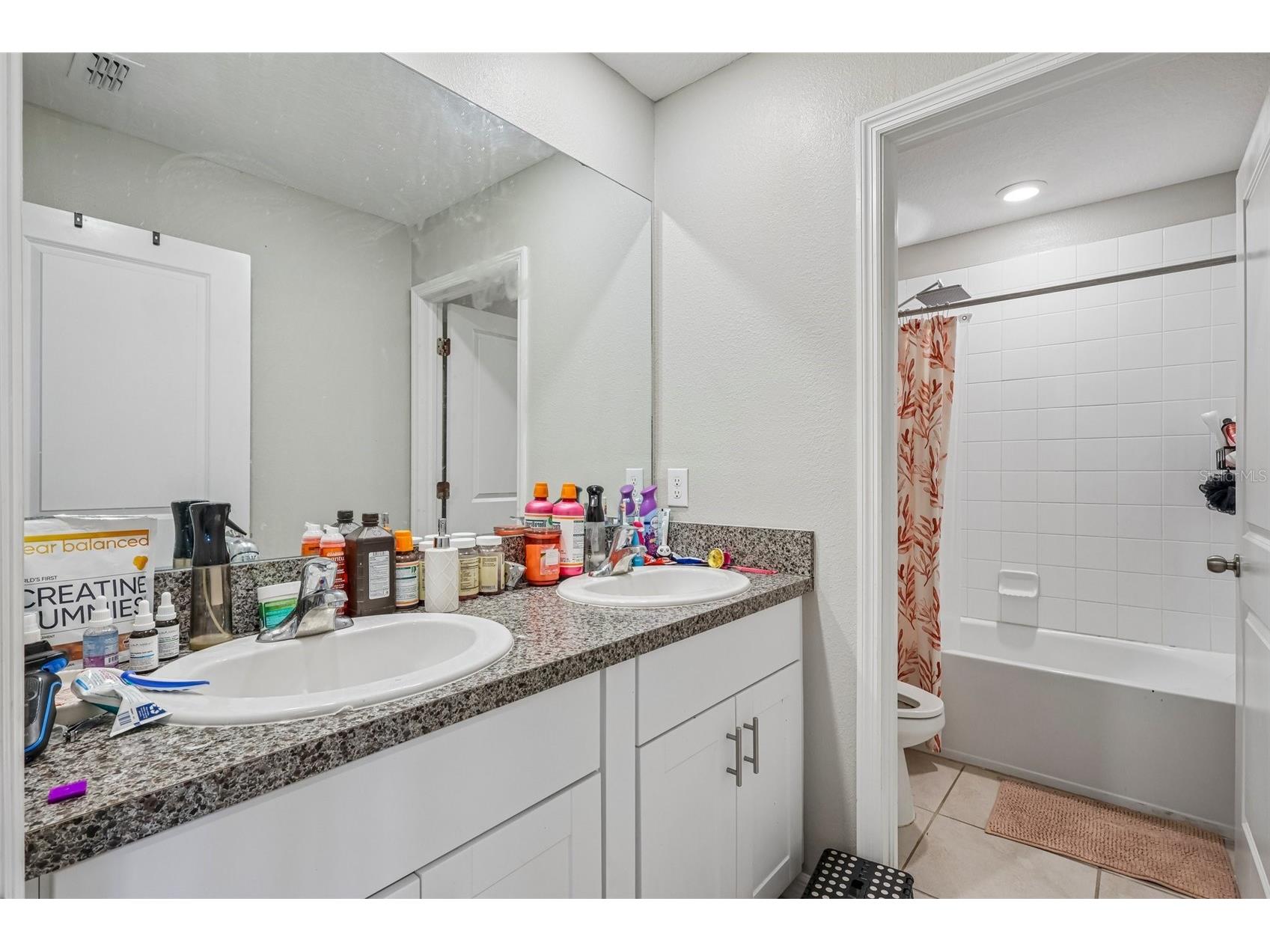 10360 Blue Plume Court Riverview FL 33578 TB8522566 image16