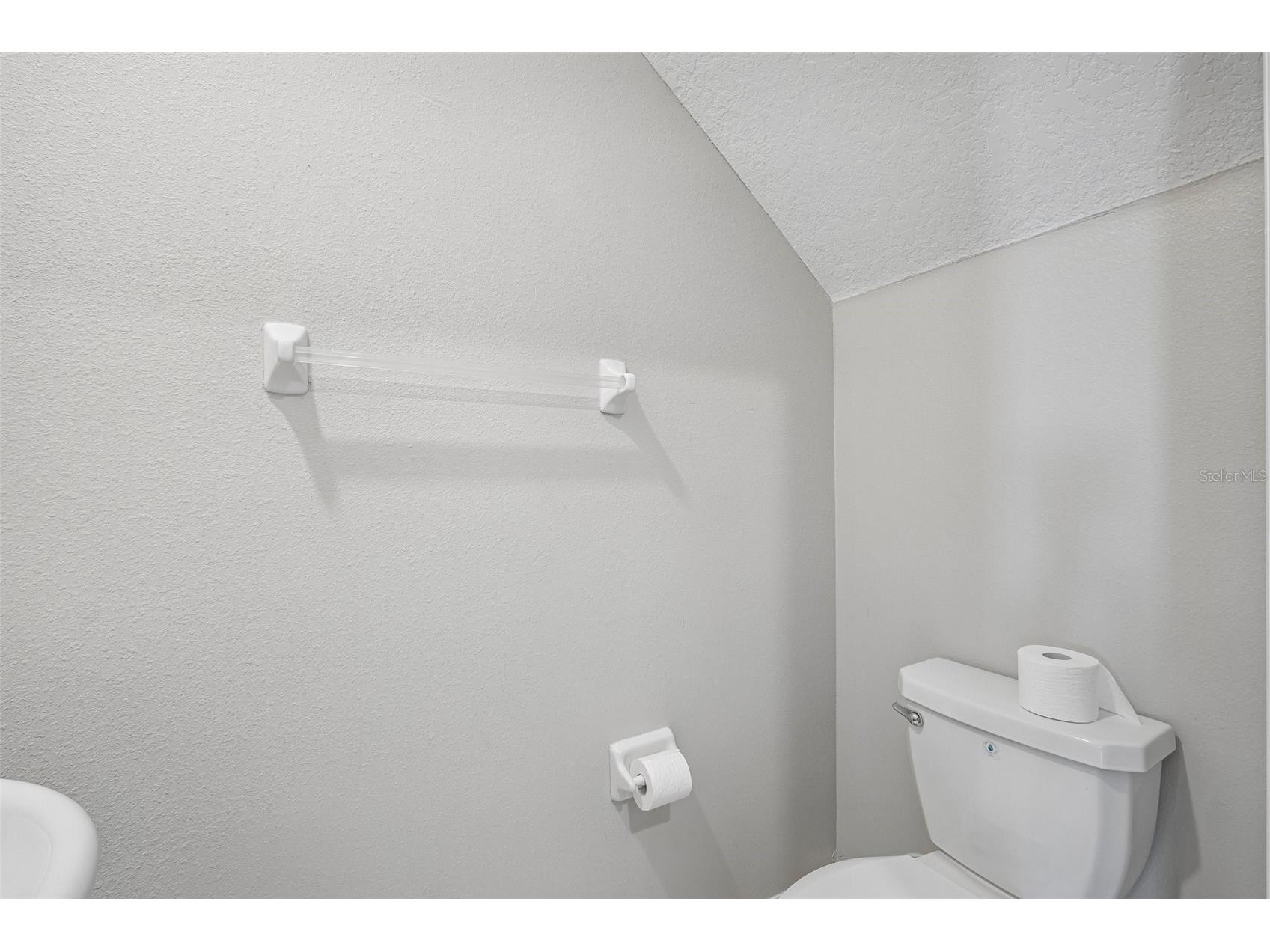 10360 Blue Plume Court Riverview FL 33578 TB8522566 image21