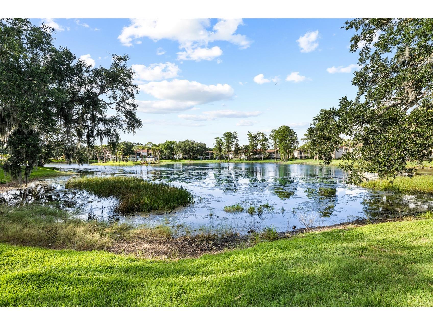 10360 Carrollwood Lane #212 Tampa FL 33618 TB8513646 image6
