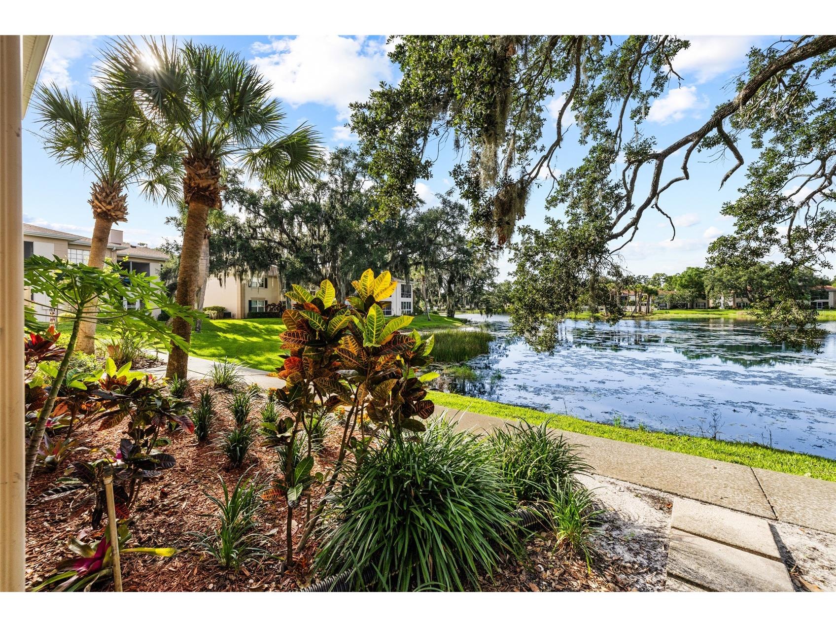 10360 Carrollwood Lane #212 Tampa FL 33618 TB8513646 image7