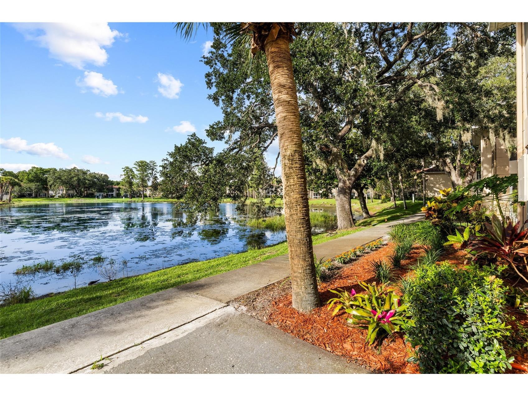 10360 Carrollwood Lane #212 Tampa FL 33618 TB8513646 image8