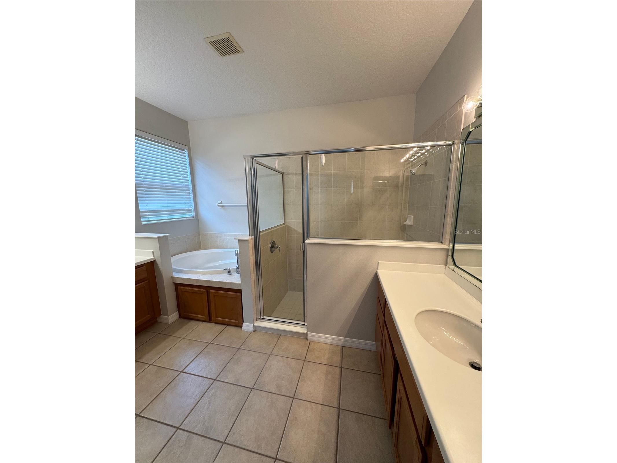 10360 Sandy Marsh Lane Orlando FL 32832 O6412683 image21