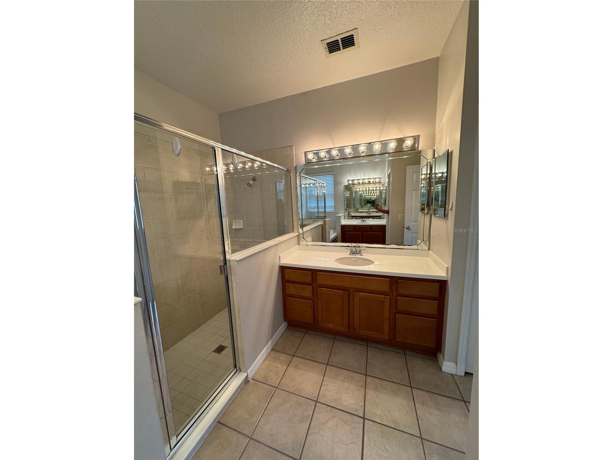 10360 Sandy Marsh Lane Orlando FL 32832 O6412683 image22