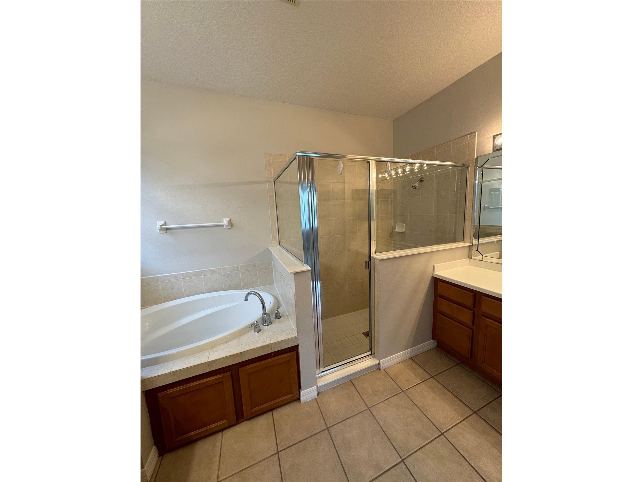 10360 Sandy Marsh Lane Orlando FL 32832 O6412683 image23