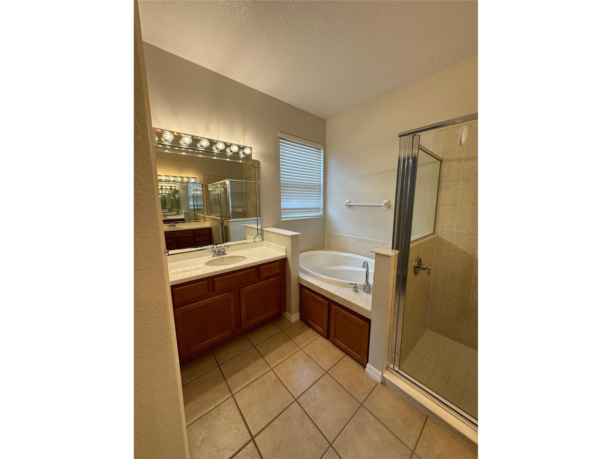 10360 Sandy Marsh Lane Orlando FL 32832 O6412683 image24
