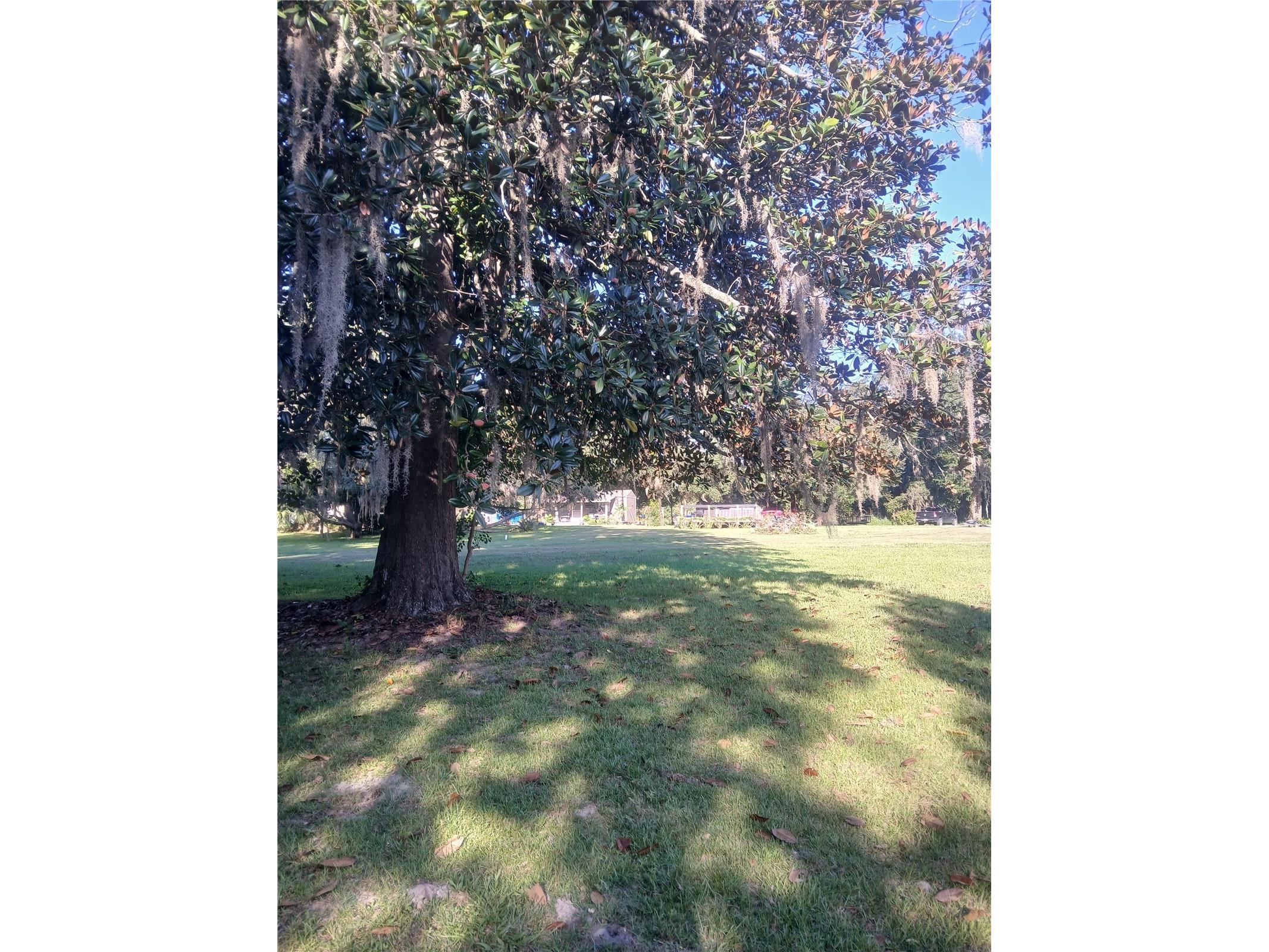 10360 W County Road 18 Lake Butler FL 32054 O6384406 image22