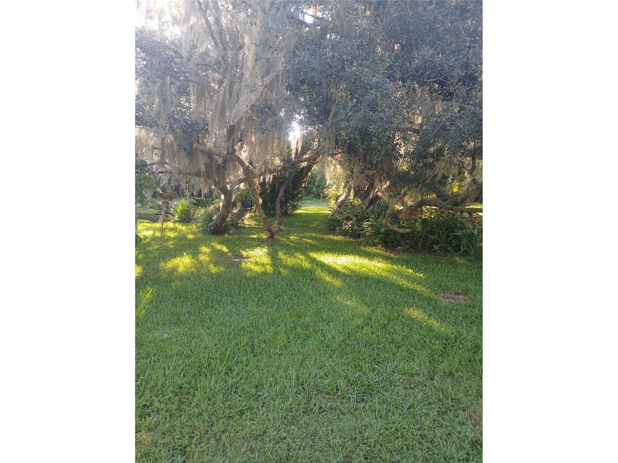 10360 W County Road 18 Lake Butler FL 32054 O6384406 image27