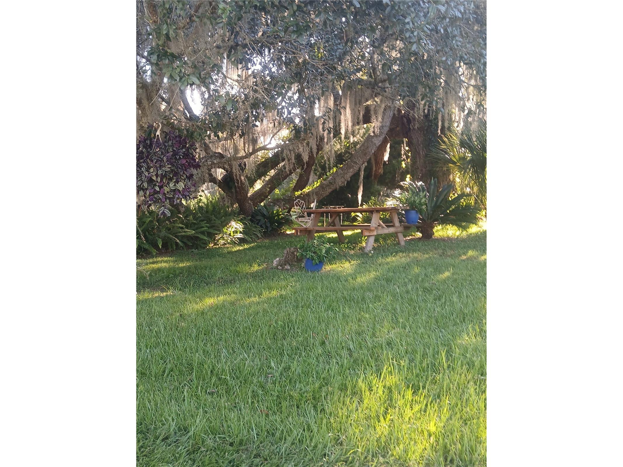 10360 W County Road 18 Lake Butler FL 32054 O6384406 image8