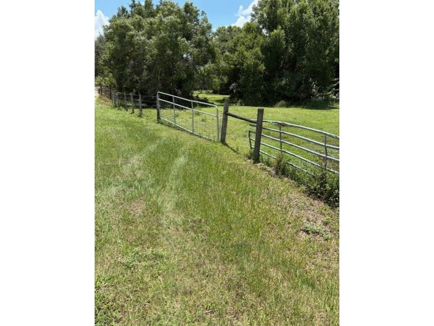 10362 SE Mehl Avenue SE Arcadia FL 34266 C7512425 image2