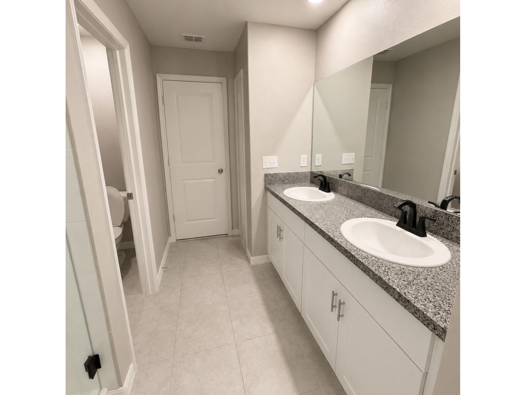 10364 Alder Green Drive Riverview FL 33578 O6413305 image7