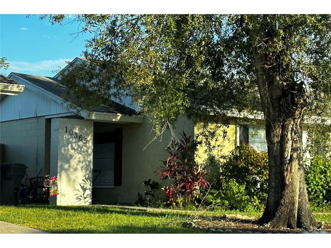 10365 Chadbourne Drive Tampa FL 33624 T3474848 image1