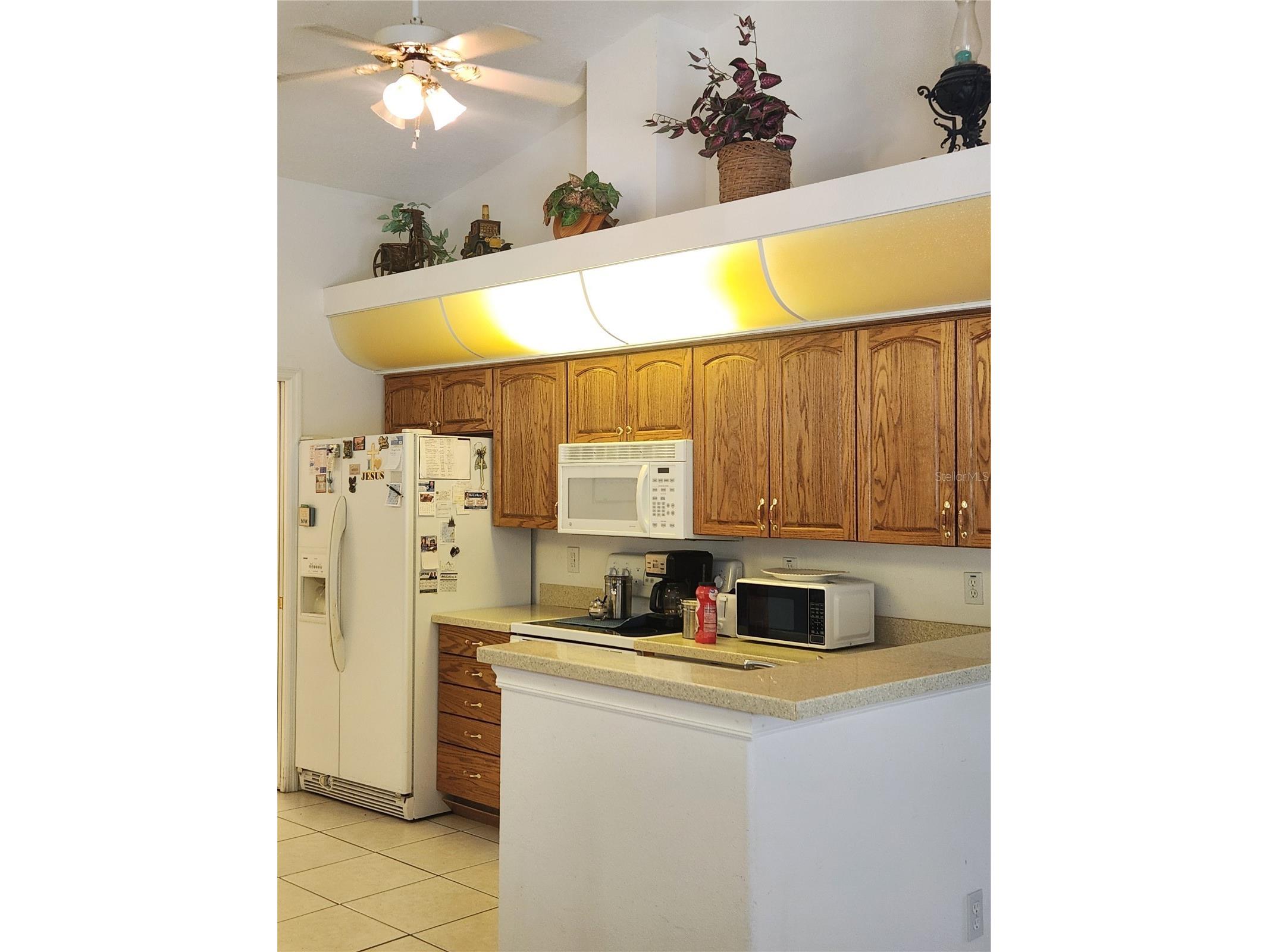 10365 Palmwood Place Weeki Wachee FL 34613 TB8526068 image11