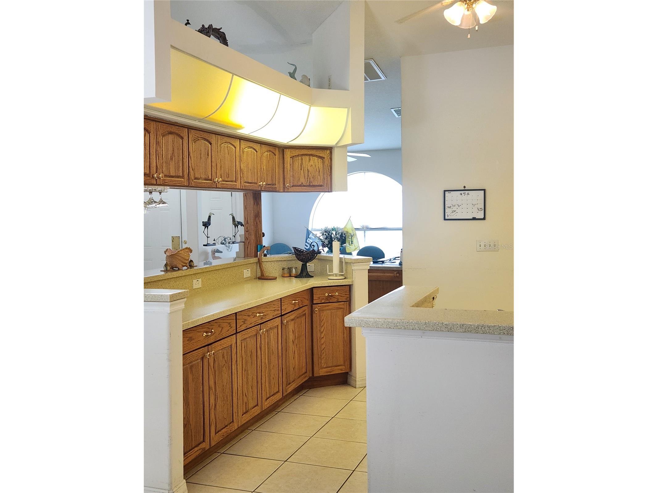 10365 Palmwood Place Weeki Wachee FL 34613 TB8526068 image12