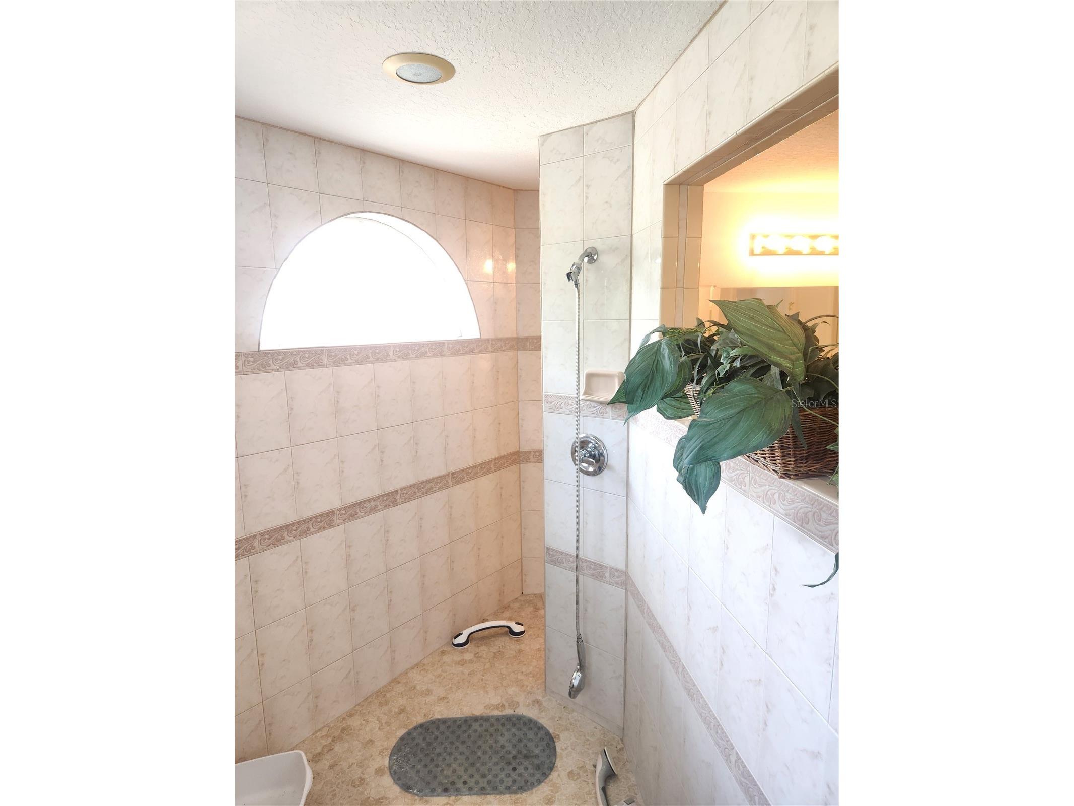 10365 Palmwood Place Weeki Wachee FL 34613 TB8526068 image21