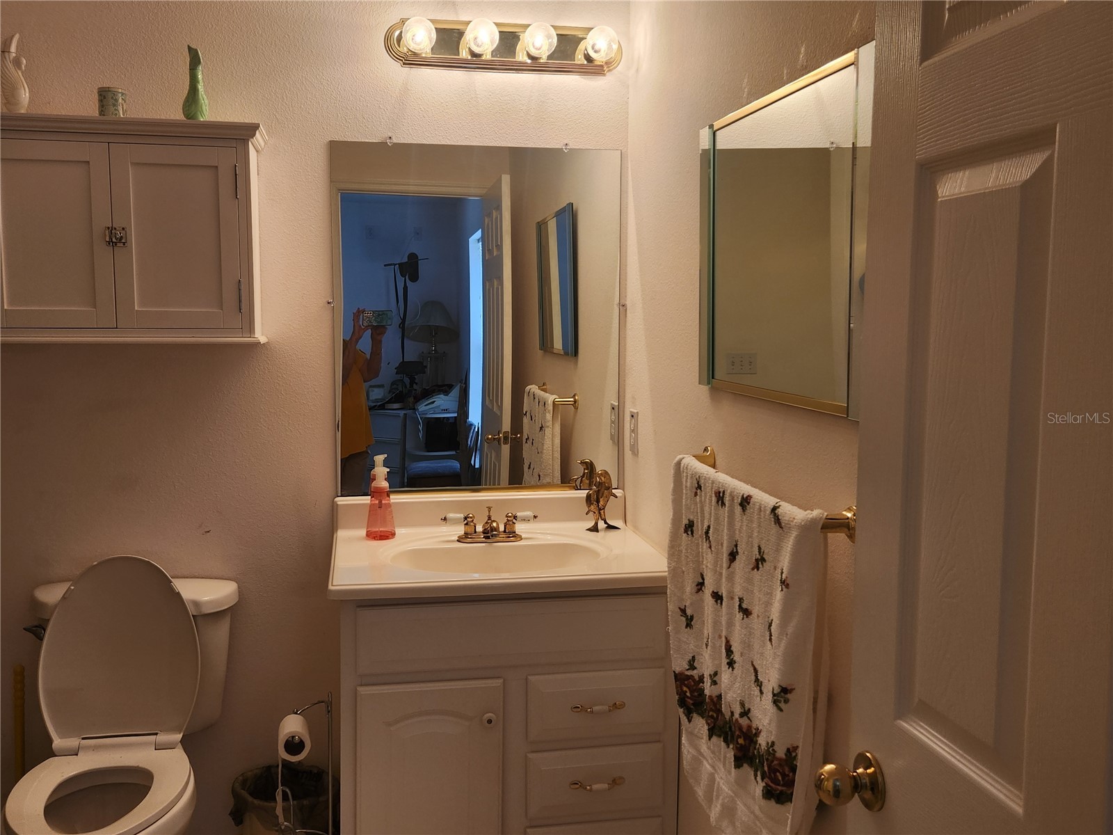 10365 Palmwood Place Weeki Wachee FL 34613 TB8526068 image23
