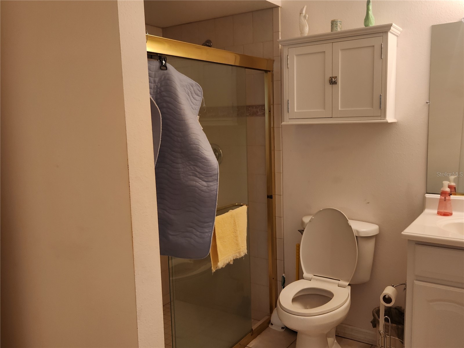 10365 Palmwood Place Weeki Wachee FL 34613 TB8526068 image24