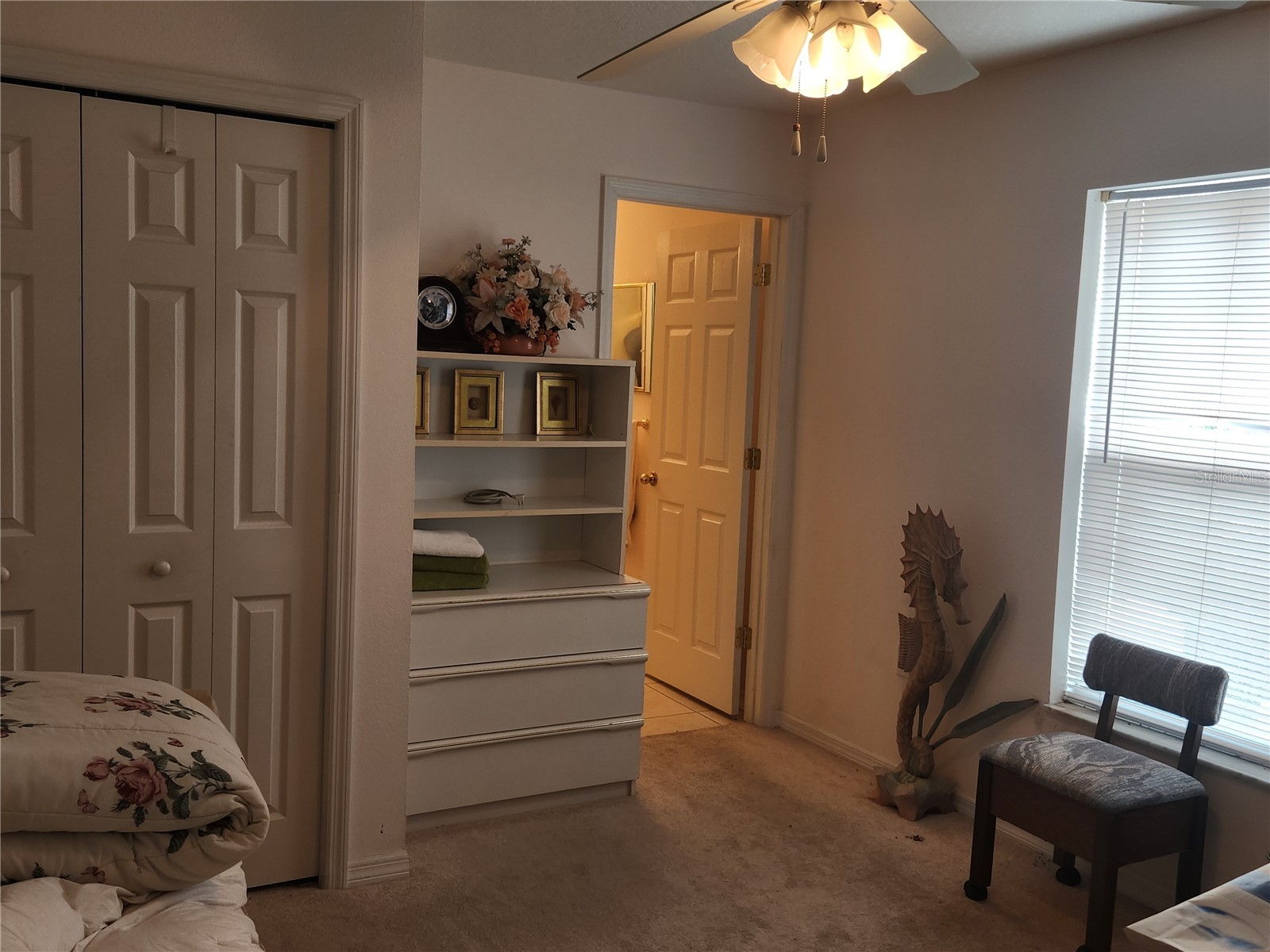 10365 Palmwood Place Weeki Wachee FL 34613 TB8526068 image26